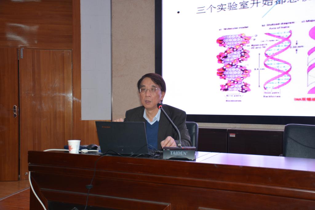 何平教授讲座现场