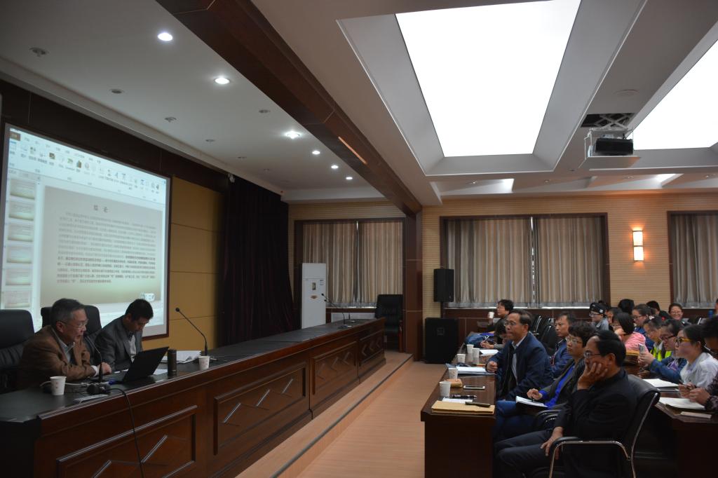 《历史学的实践性》报告现场